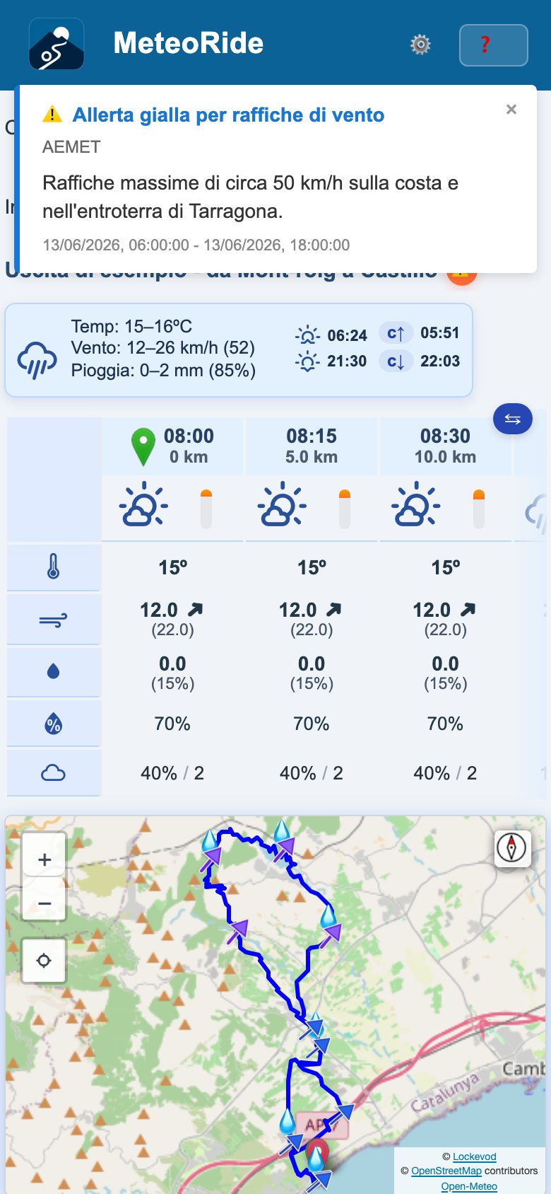 Un'allerta meteo ufficiale mostrata nell'app su un telefono